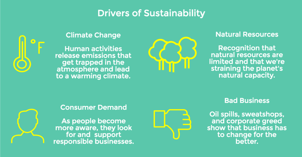 drivers of sustainability