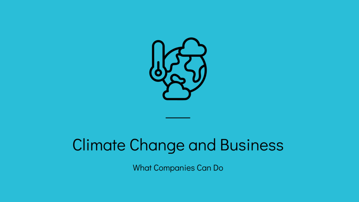 Climate Change and Business: What Companies Can Do