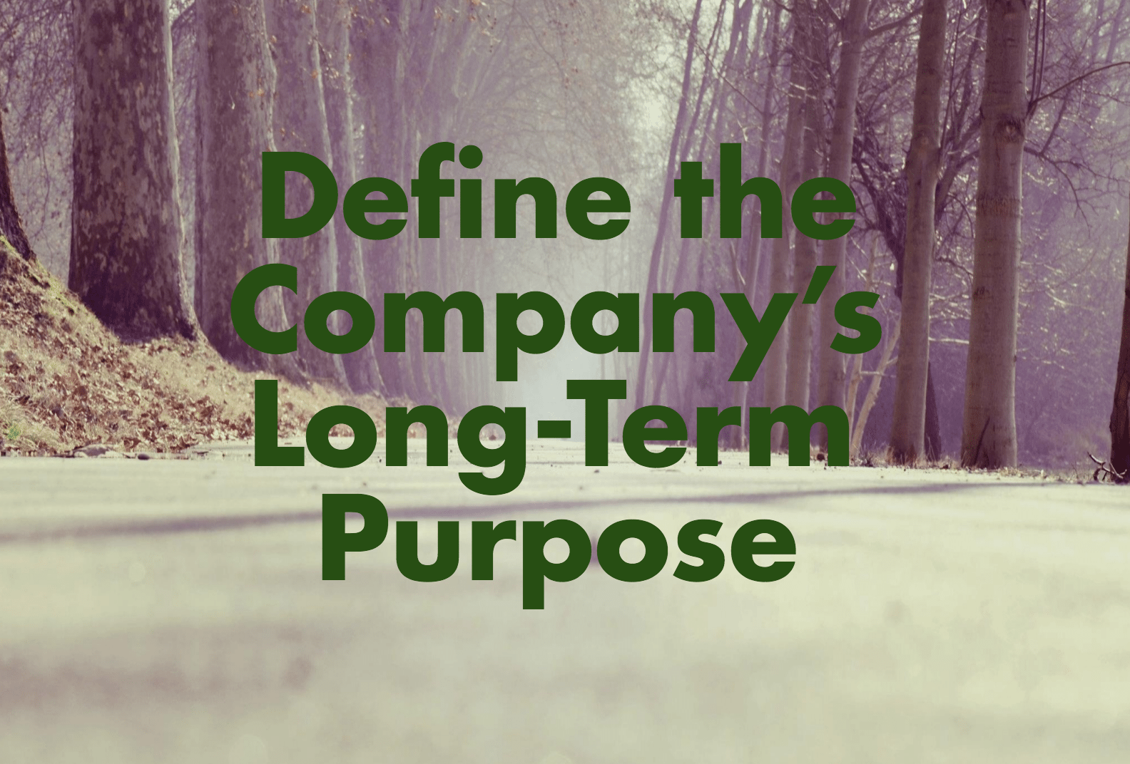 Define the company's long term purpose