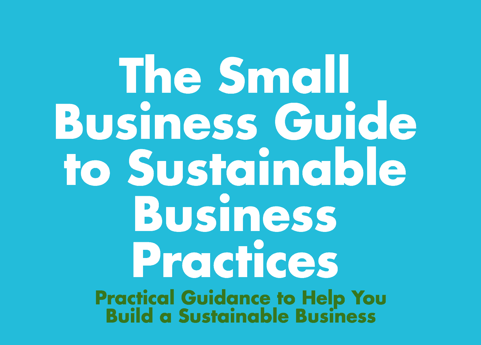 How To Conduct a Simple (yet Comprehensive) Sustainability Audit