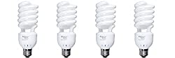 Compact fluorescent lights