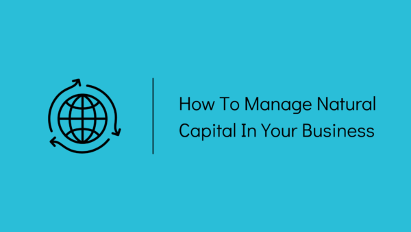 how to manage natural capital in your business