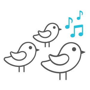 Birds Illustration and singing notes
