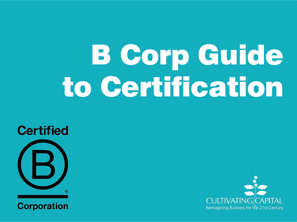 the bcorp graphic-8