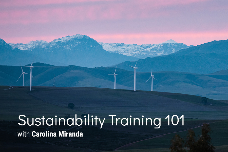 SustainabilityTraining101-CoverGraphic-website2
