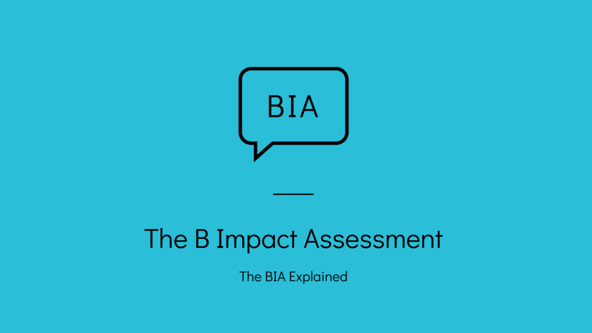 The B Impact Assessment: The BIA Explained